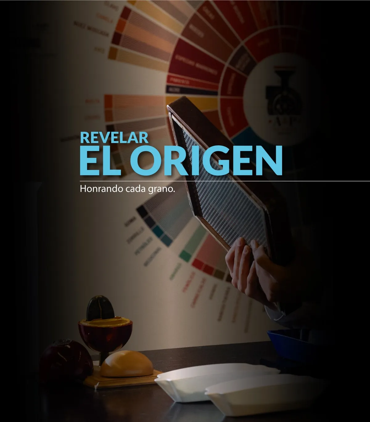 Revelar el origen: rueda de sabores del café